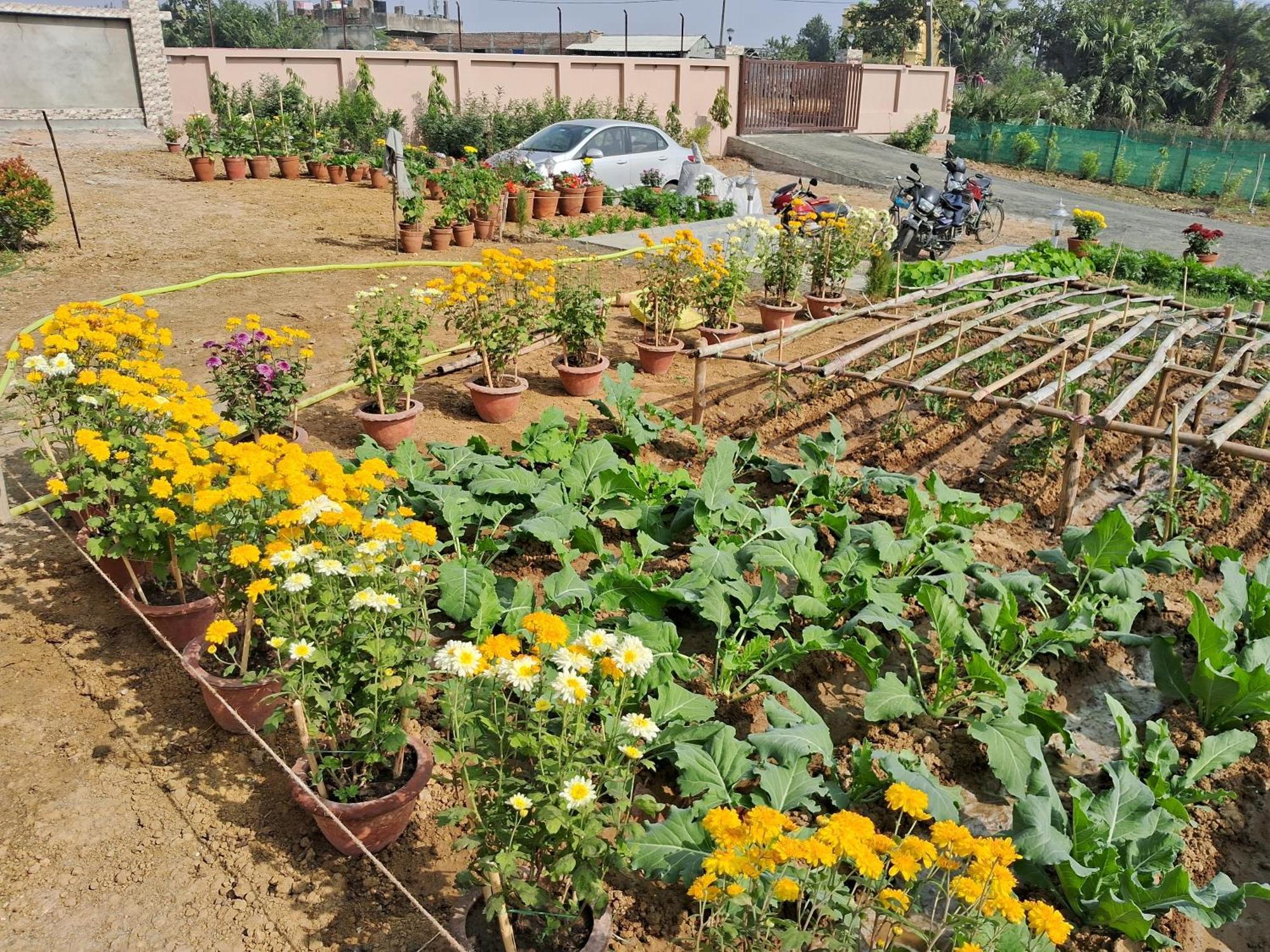 Homestay Alivia Eco-stay
