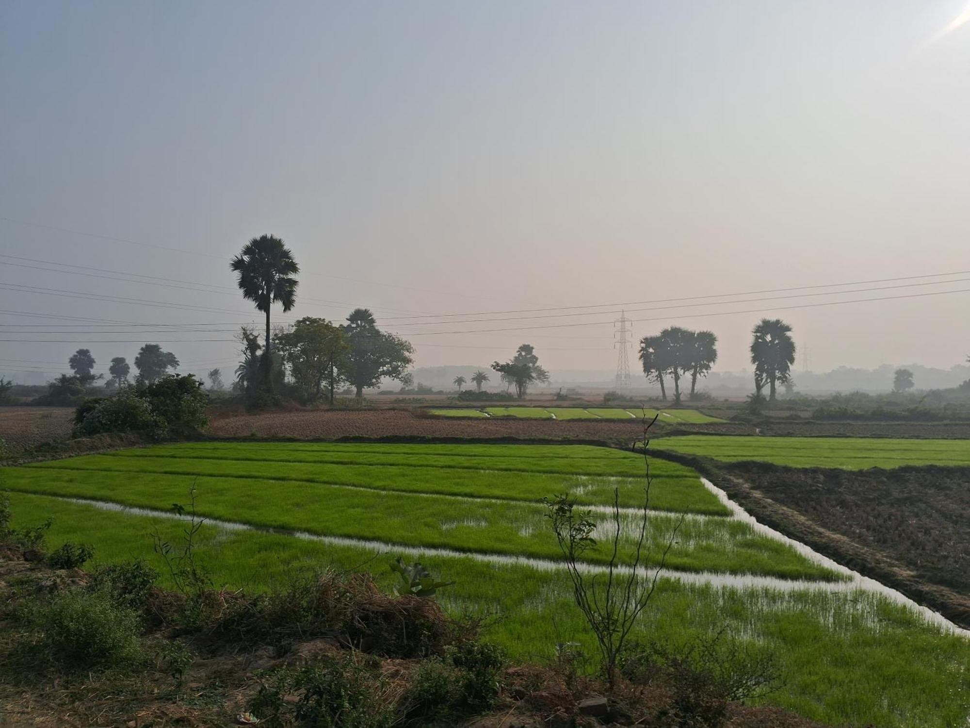 Alivia Eco-stay * Shanti Niketan